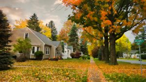 quiet village street in autumn